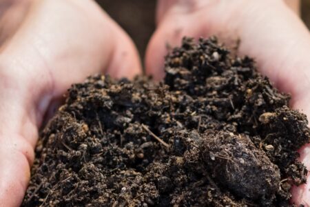 Best Organic Fertilizers Image